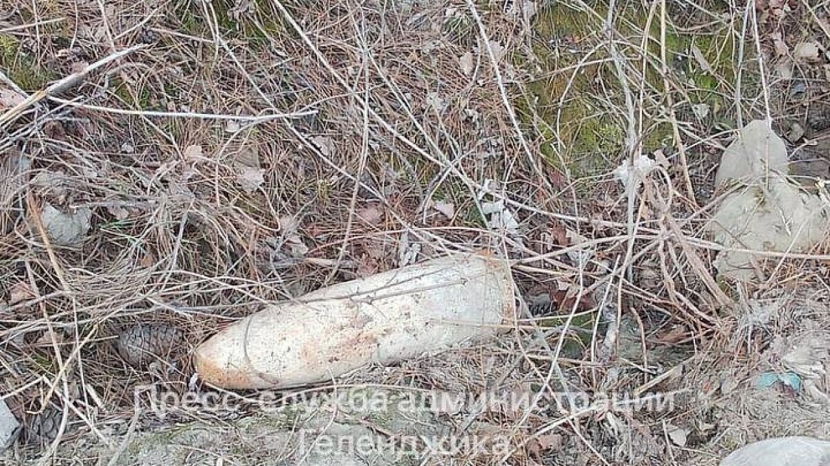    Фото: t.me/adm_gelen