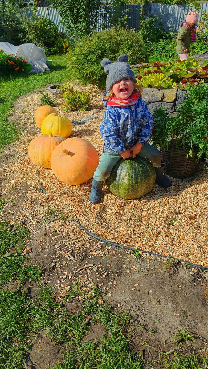 Скоро мы с вами будем сеять тыковку, чтобы и у вас был вкусный и богатый урожай 