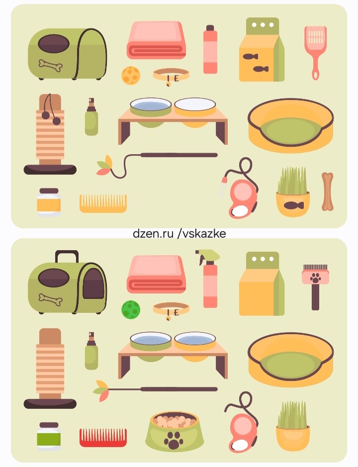 Найди отличия на картинке