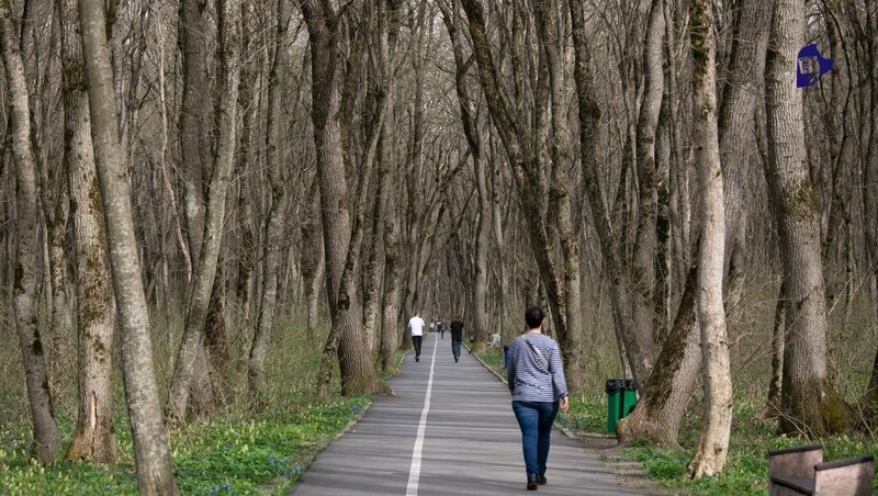      Фото: Валерия Алтухова / / ИА «Победа26»