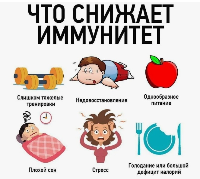 Источник картинки https://goo.su/CdyK0