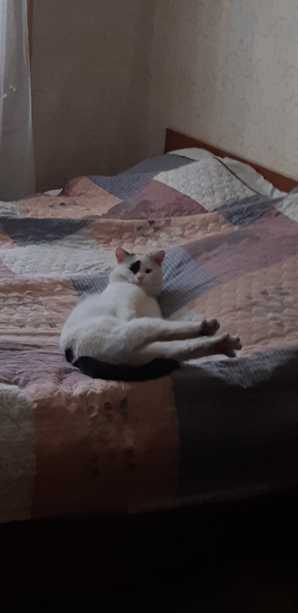 Мне ваши гостьи параллельно!