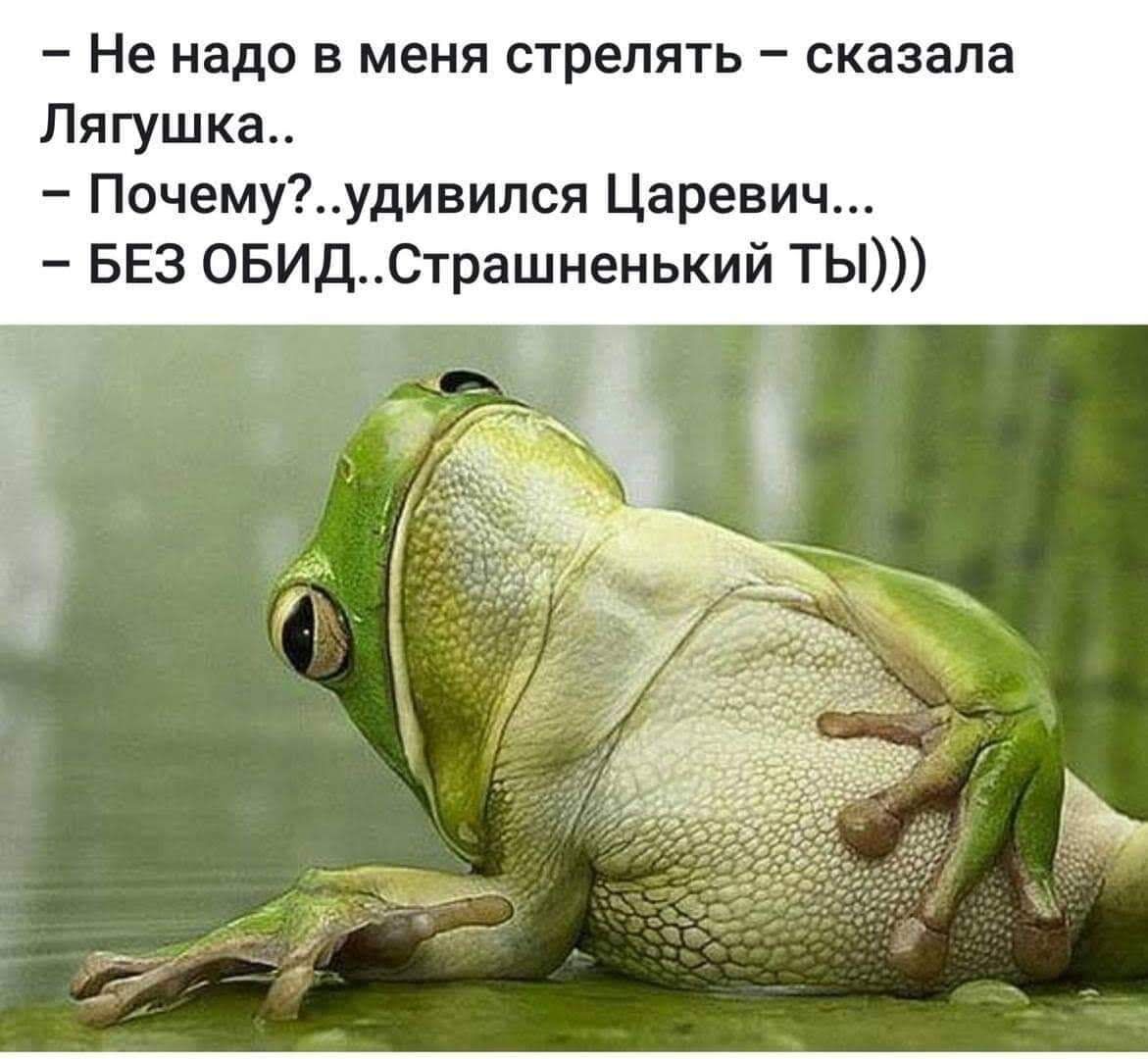 Из сети