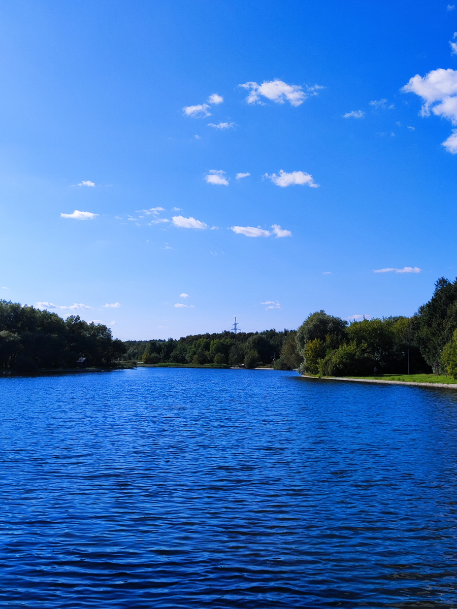 Алтуфьевский пруд Москва летом где погулять в районе Лианозово