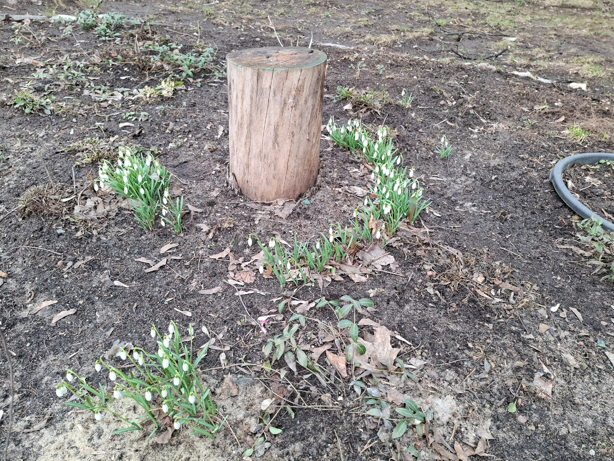 А тем временем весна...
