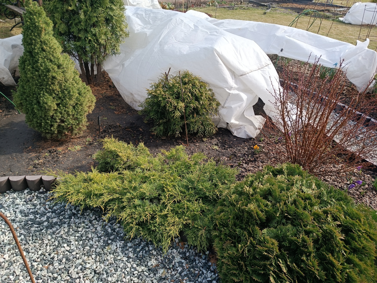 Апрель в саду