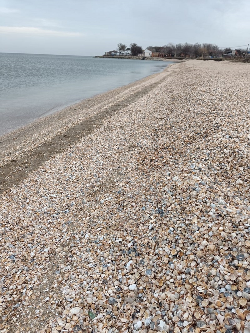 Фото подруги автора