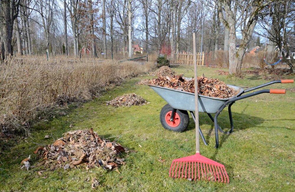 Уборка участка – порядок прежде всего