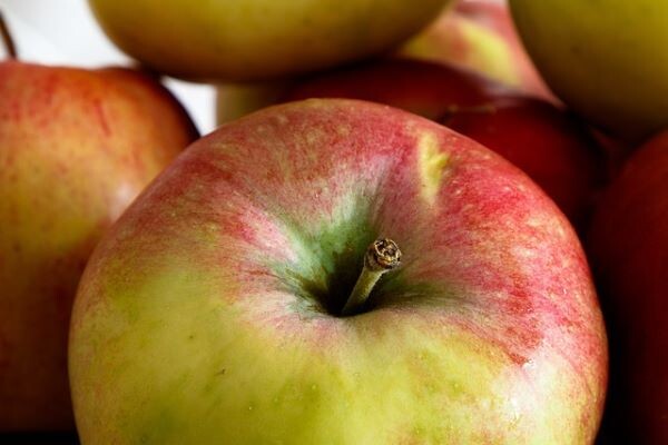    Фото: pixabay.com Илья Федоров