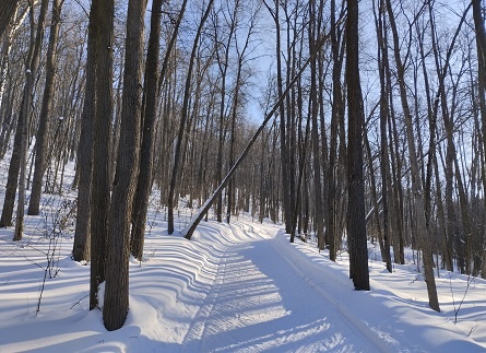 Фотография из личного архива автора