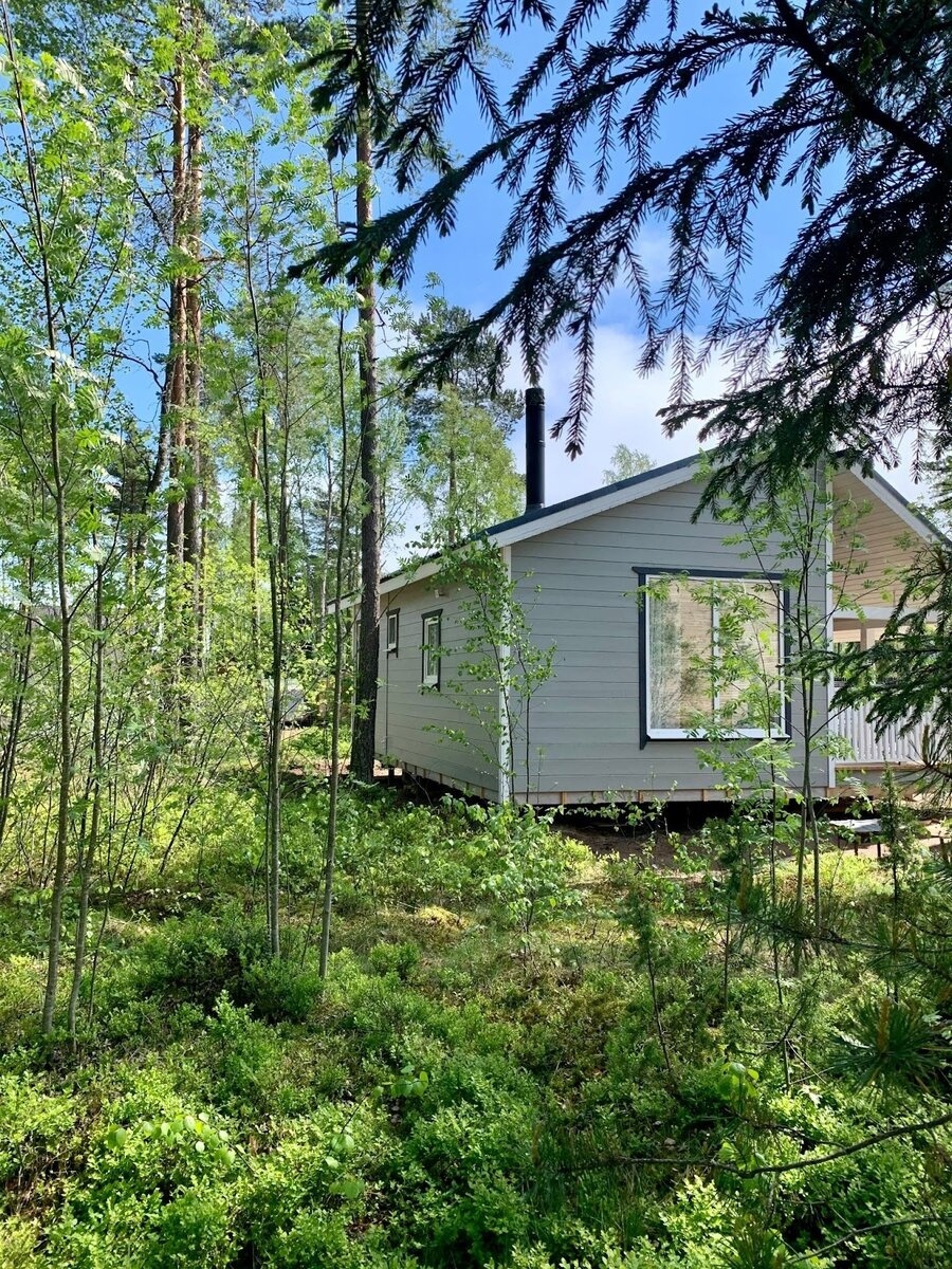 Так выглядит дом, который семья из Петербурга построила для загородного отдыха 