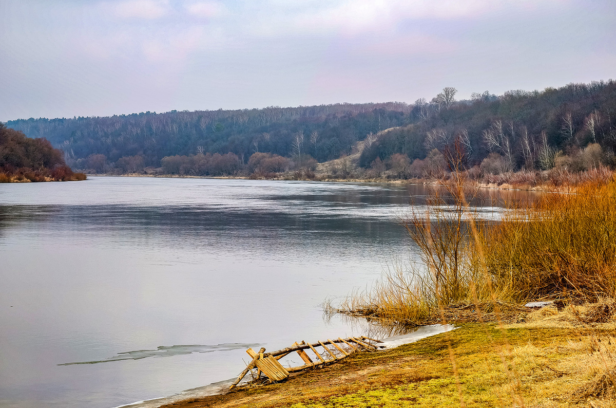    Светлана Парфенова