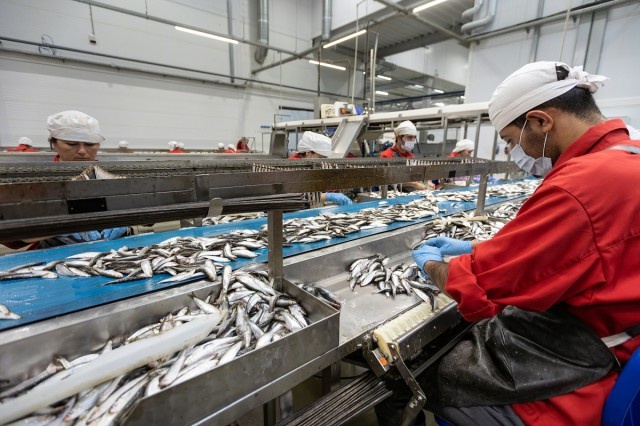   Фото из архива Калининград.Ru