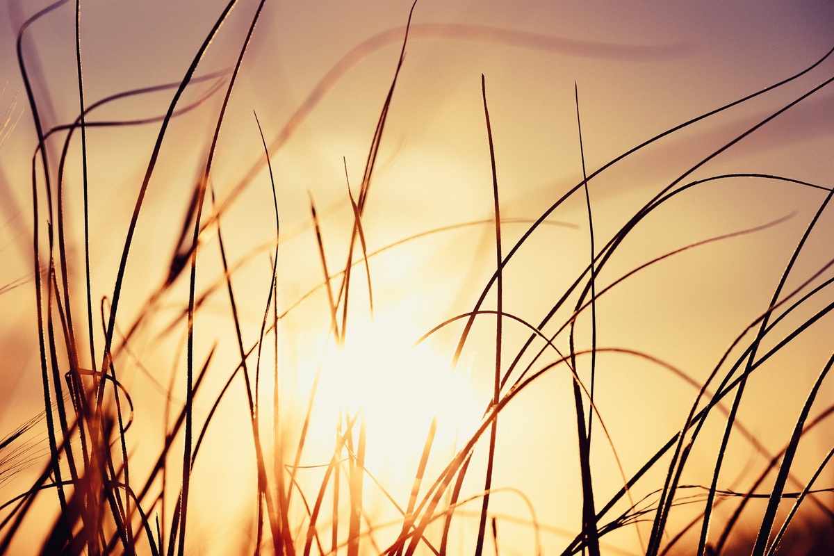 Фото: James Coleman / Unsplash