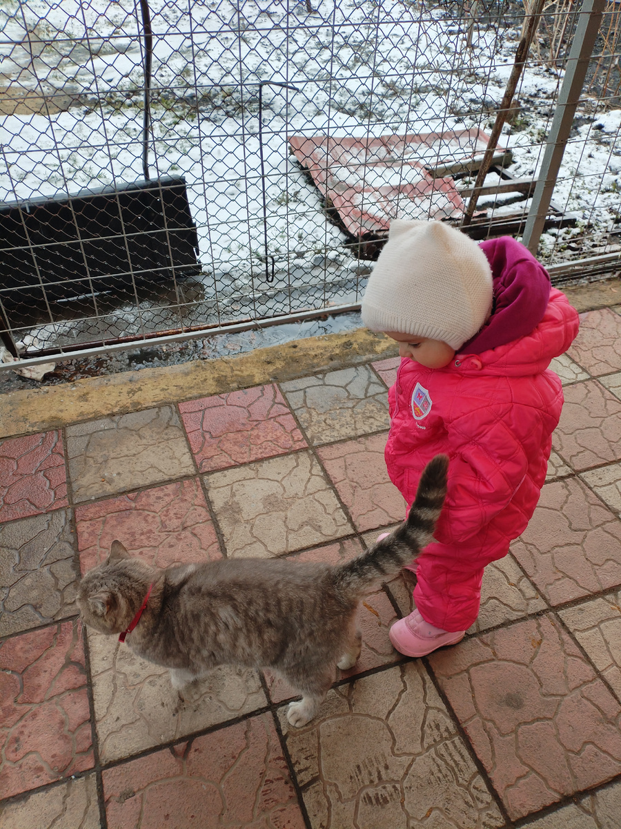 Плюшка, опять что ли снег?