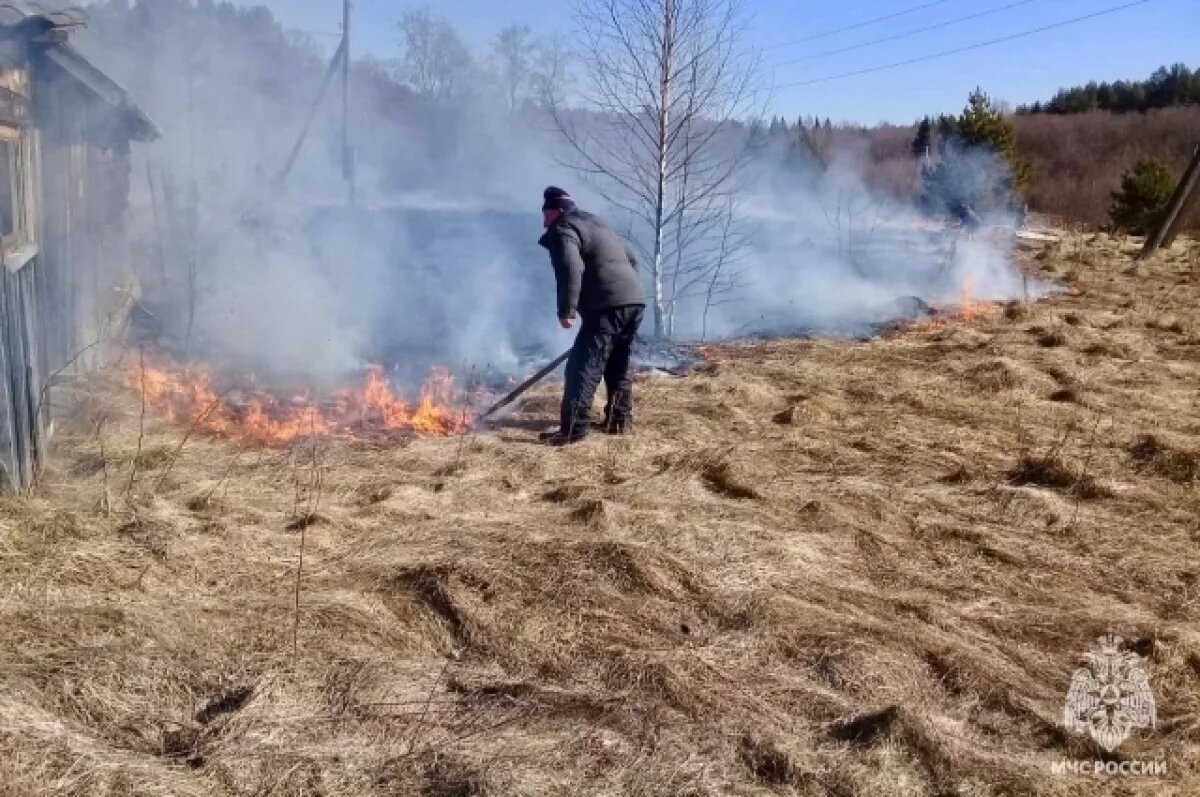    В Тверской области пресечены поджоги сухой растительности