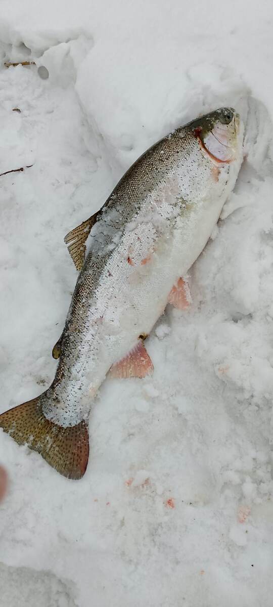 Личное фото 