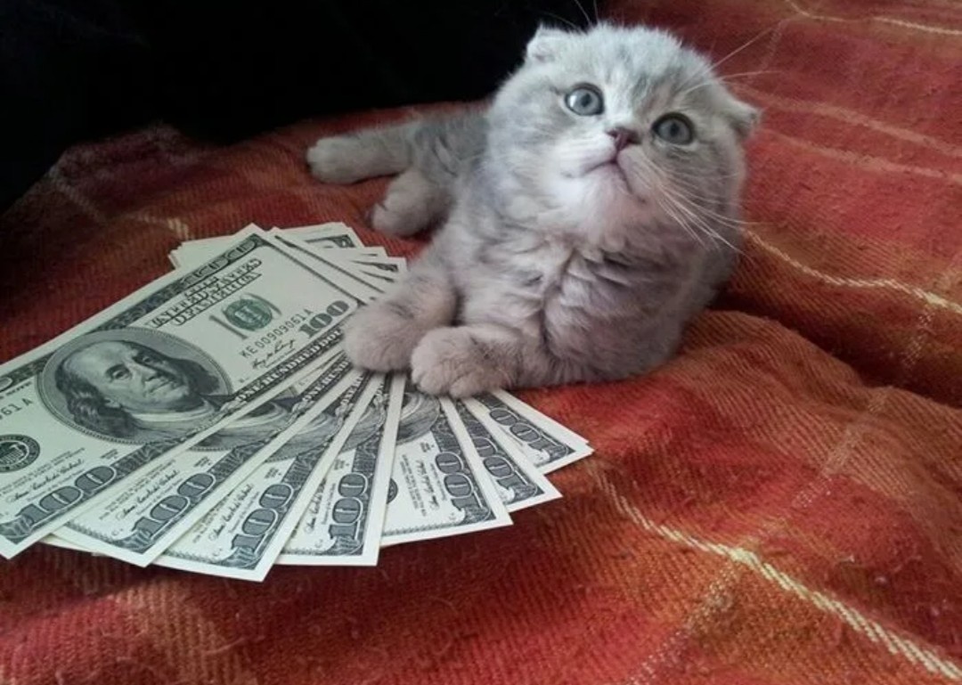 Картинка для настроения 