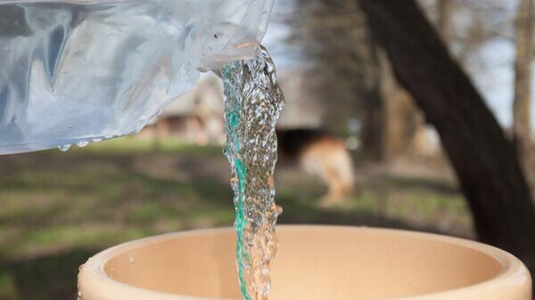    © Sputnik / Сергей Лескеть