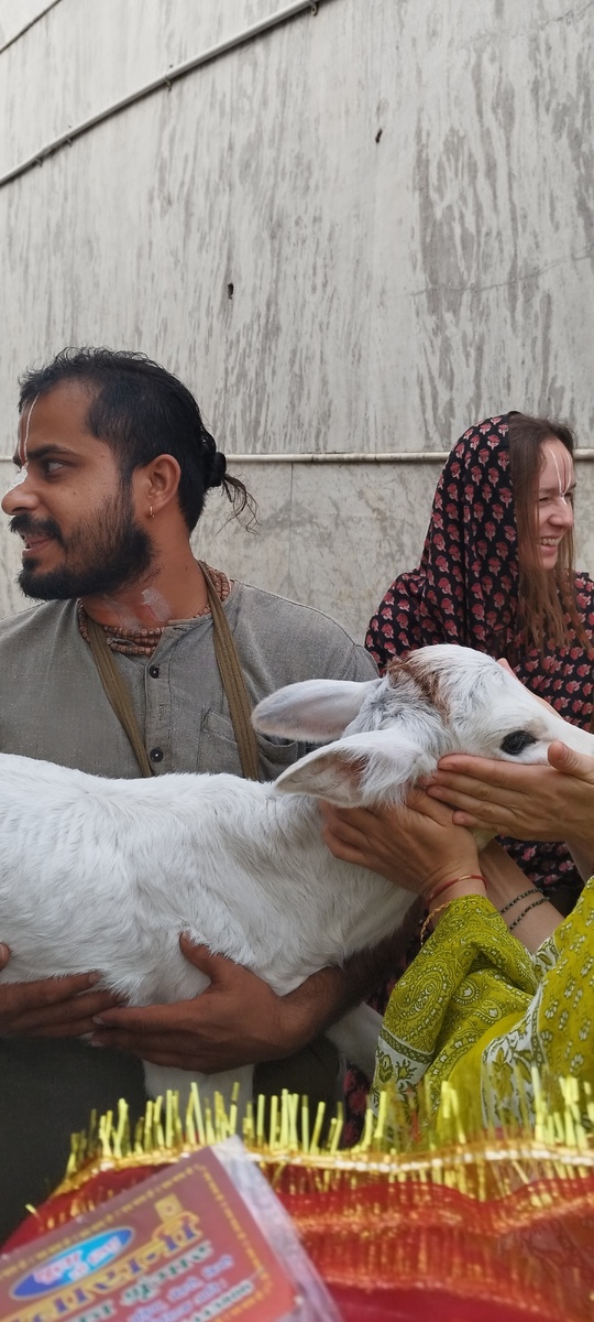 Конечно, всем захотелось потискать его.