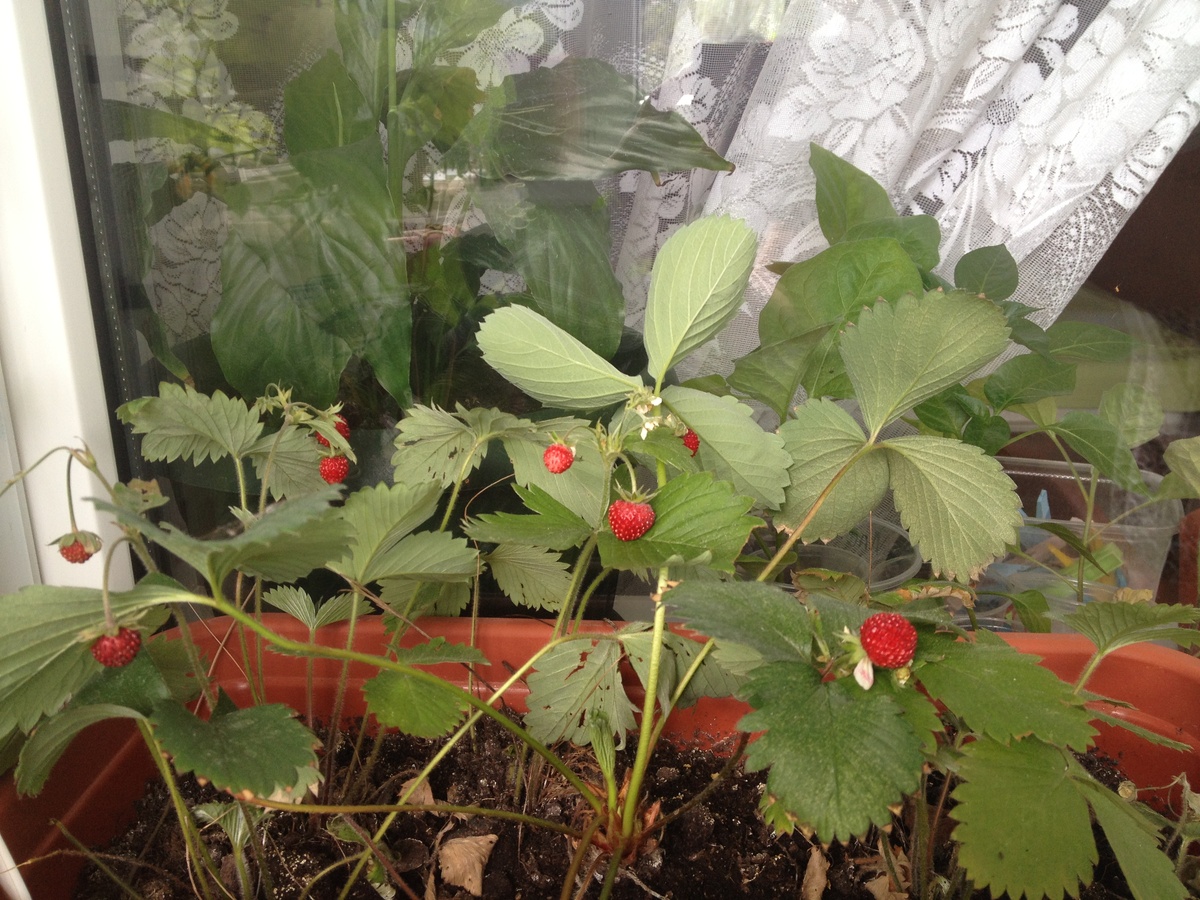 Личное фото автора.