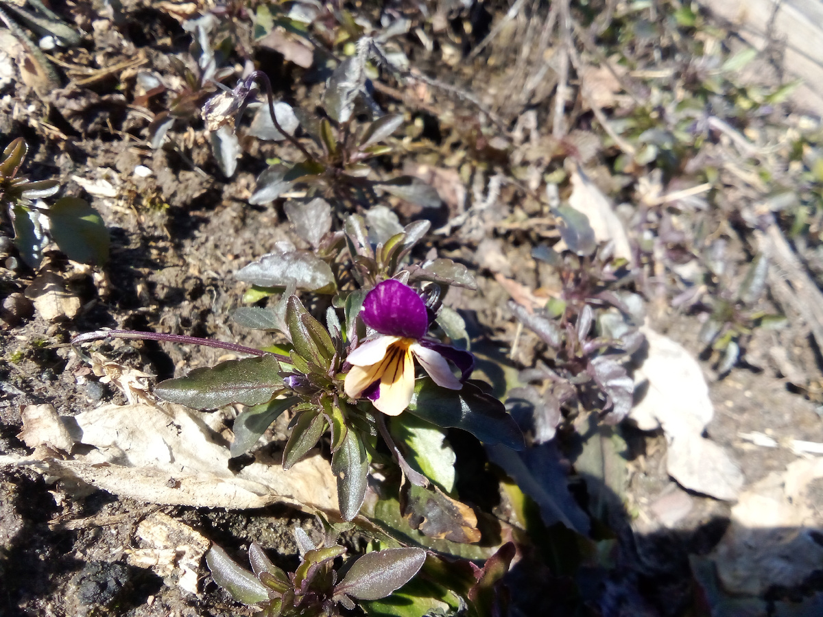 Все фото в статье авторские