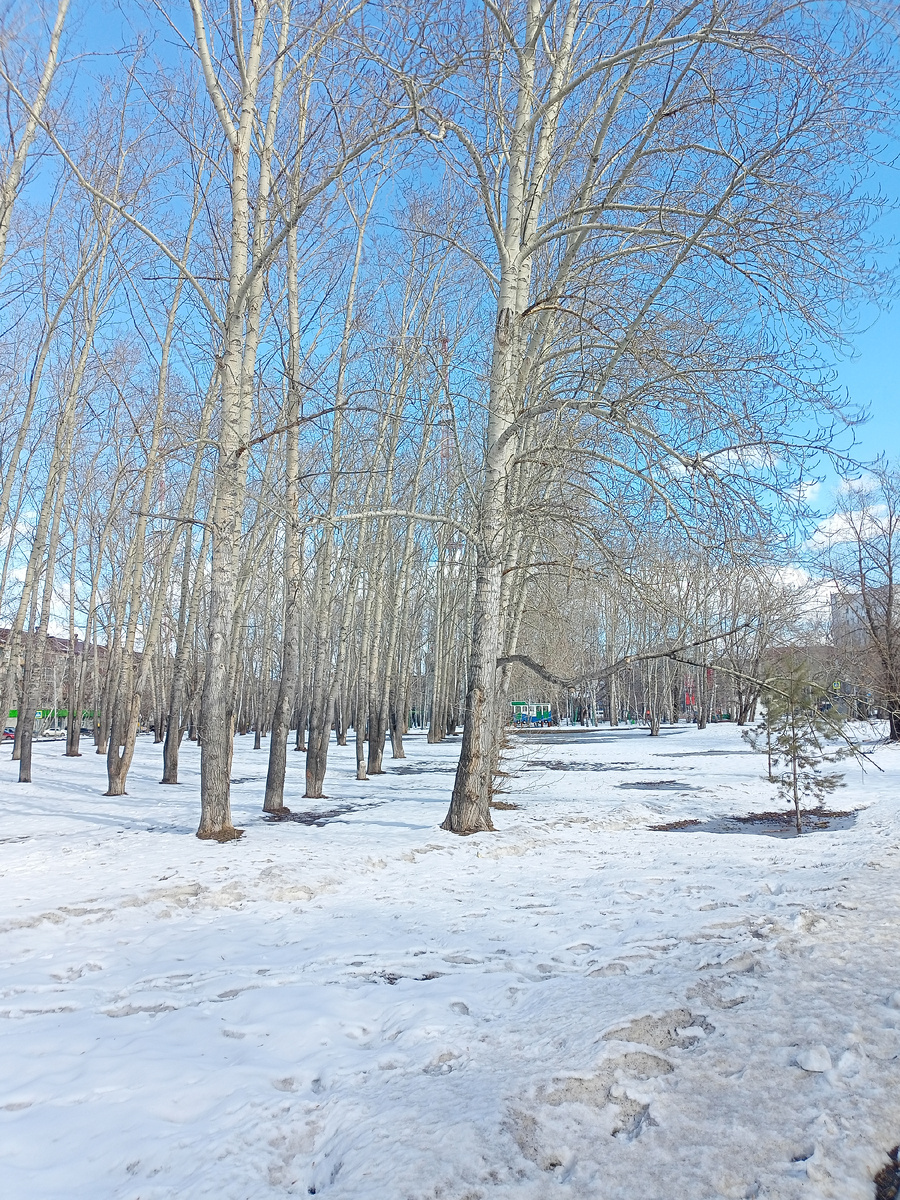 Фото автора канала "Волнушка". Зима у нас  никак не закончится 