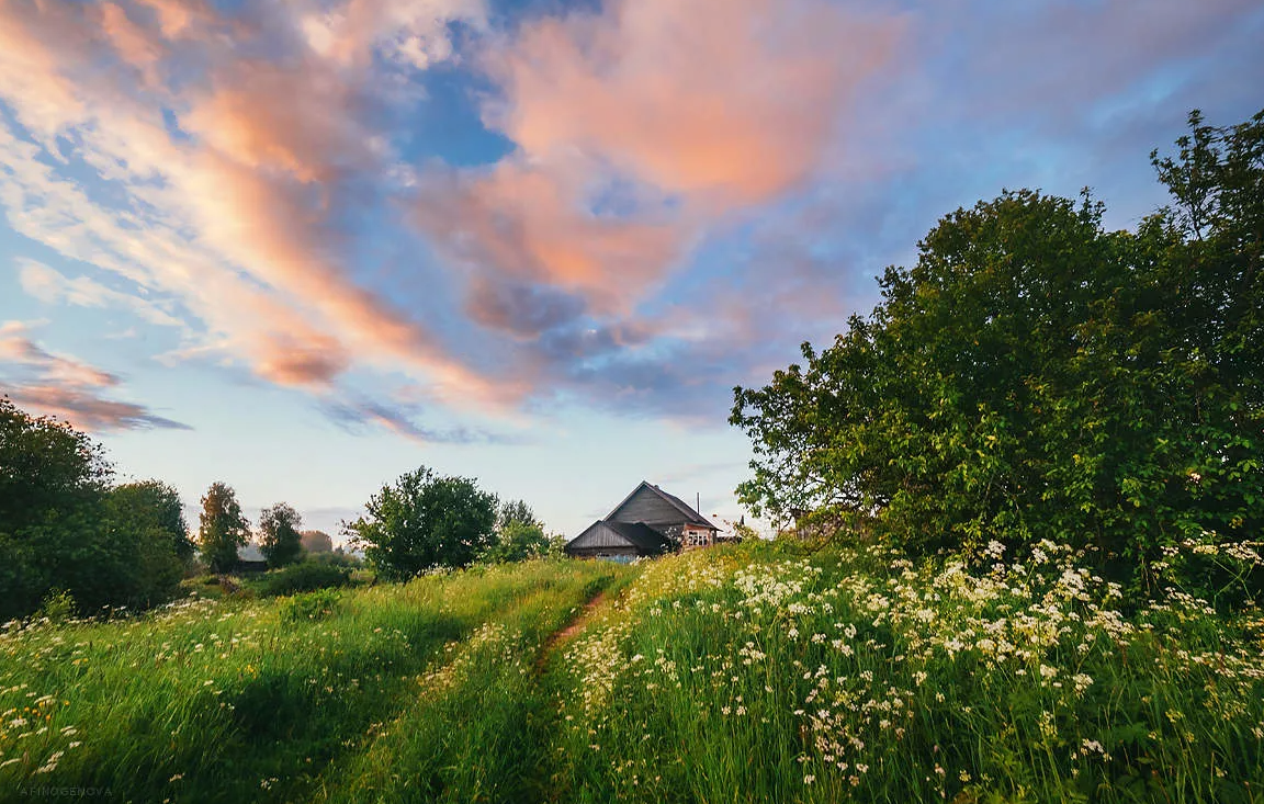 Яндекс картинки