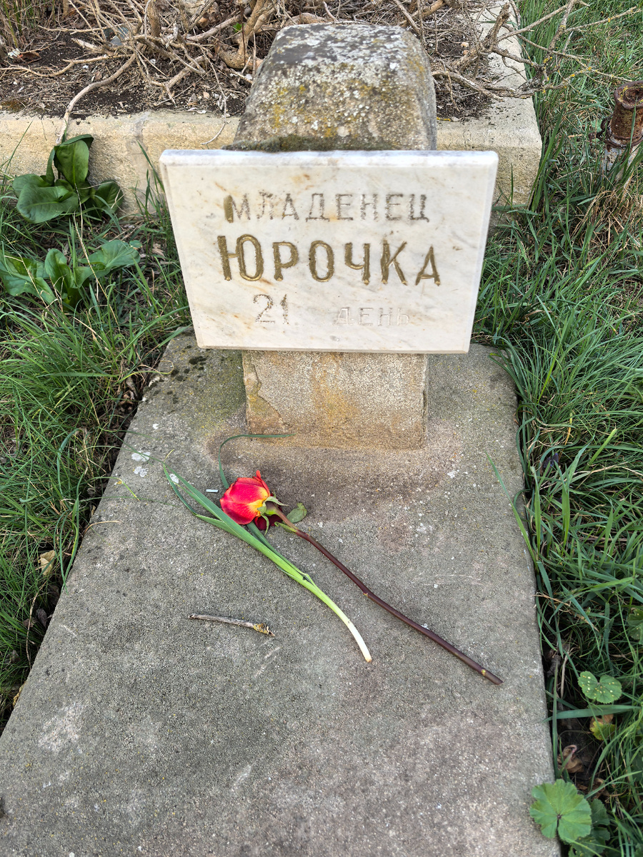 Плохо видно. Снизу написано «21 день». Нет никаких дат.