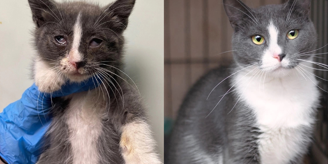 Фото «до» и «после» вместо тысячи слов