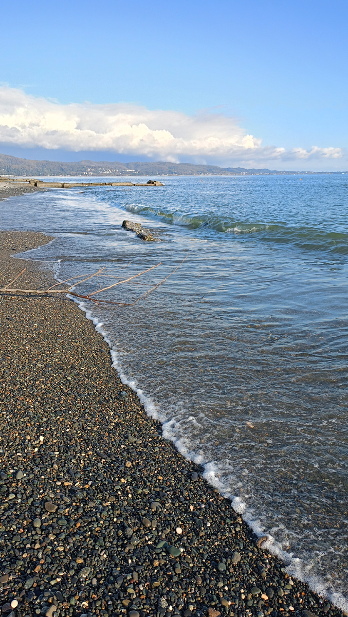 Ну как можно не любить его! 