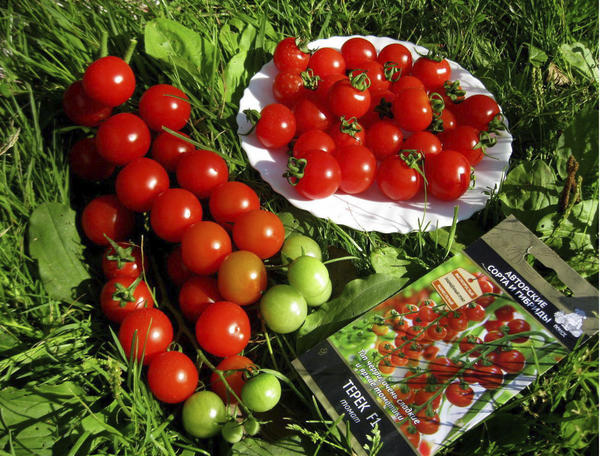 Каждый, кто хоть раз в жизни попробует черри, вновь возвращается рано или поздно к их потреблению в пищу.