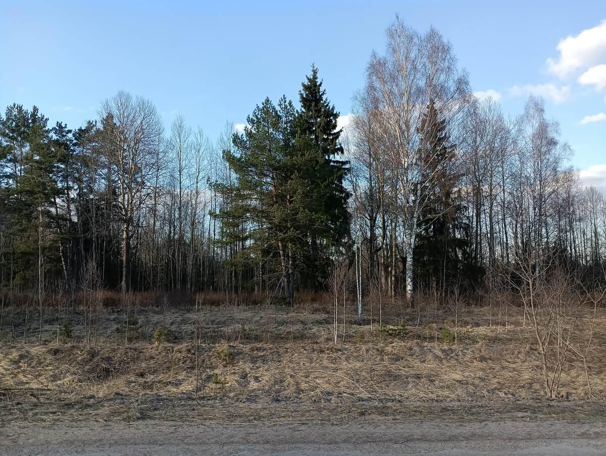 Вдоль дороги