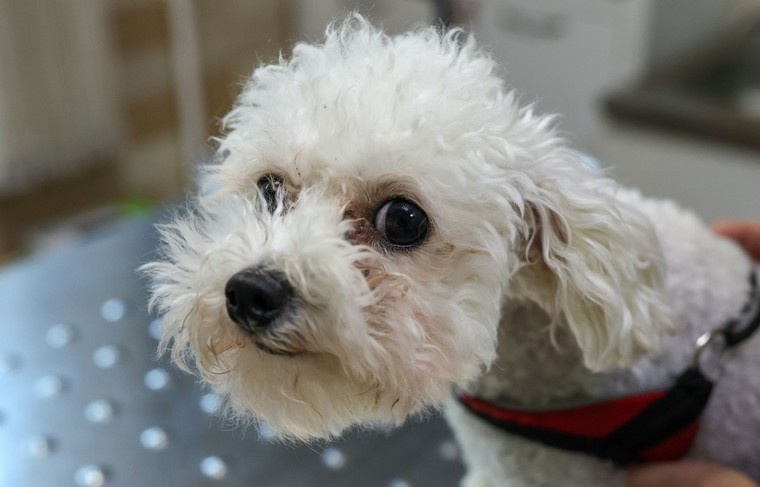    Сергей Петров/NEWS.ru