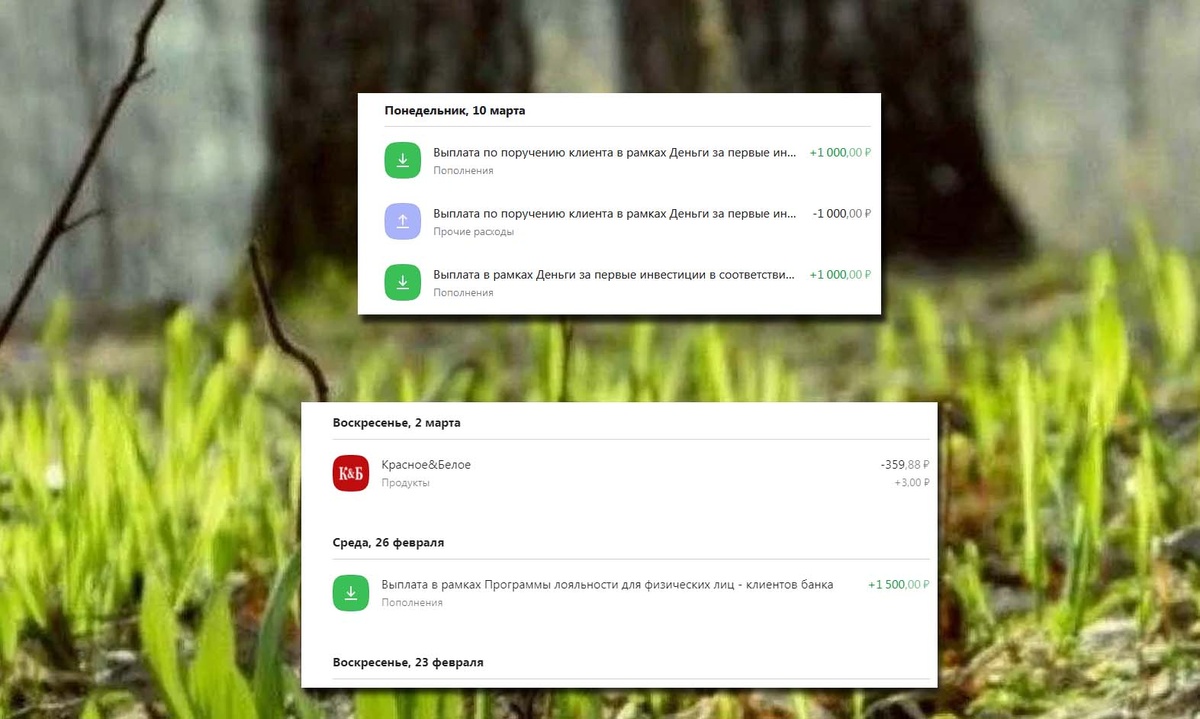 Не знаю, почему 2 раза плюс тысяча и один раз минус. Каждый месяц так