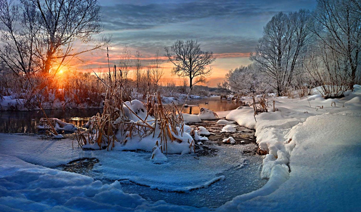 Фото взято из интернета.