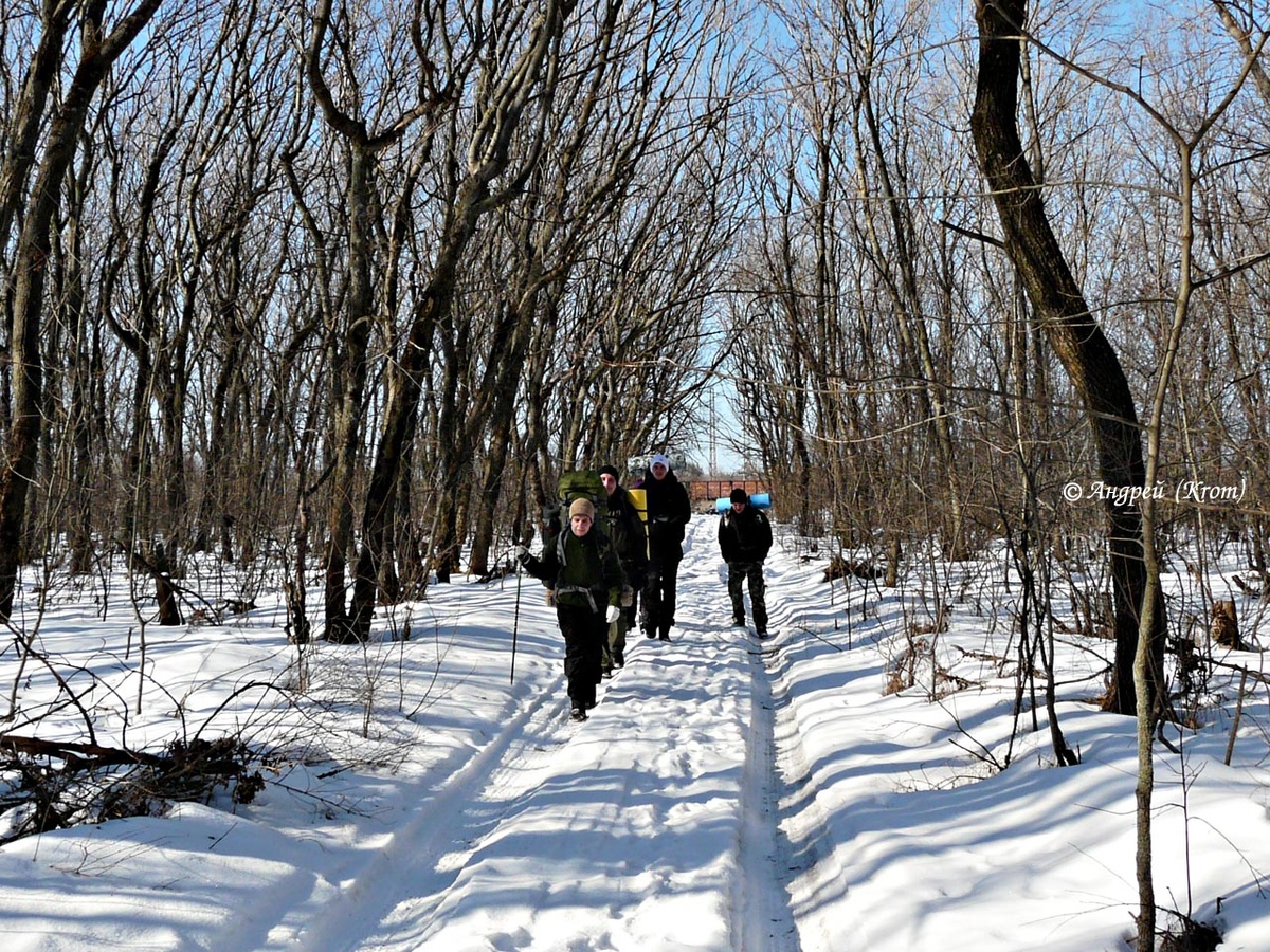 Заходим в лес по заснеженной просеке