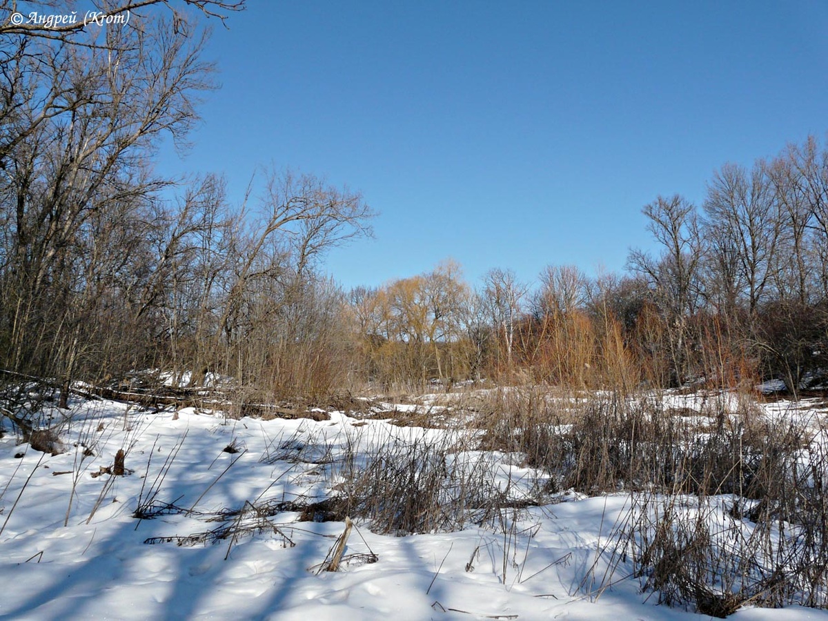 Верховье балки Большая Журавка. Тут мы искали родник