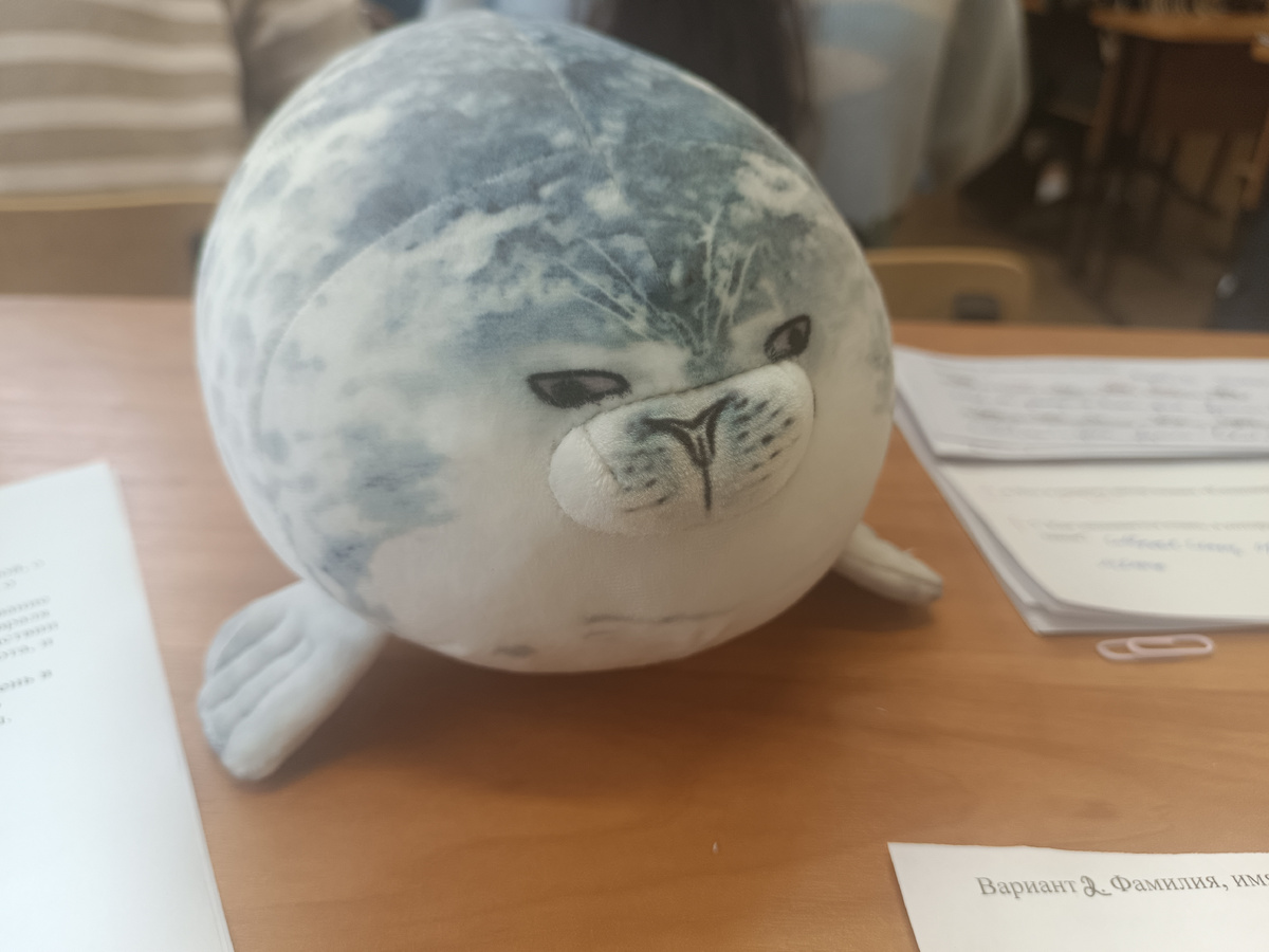 Это Кастрюля. Классный зверь. Примерно так я и выгляжу от недосыпа))