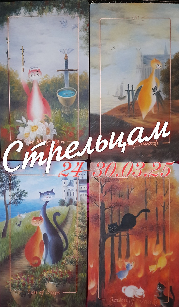 фото ЕлВита