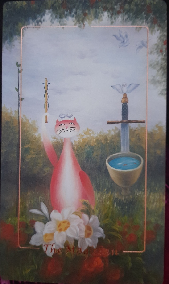 фото ЕлВита - основная энергия недели