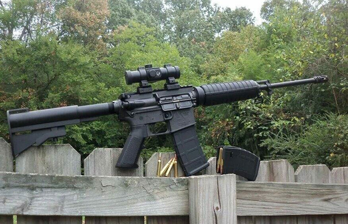 Bushmaster AR-15./ Фото: iz.ru