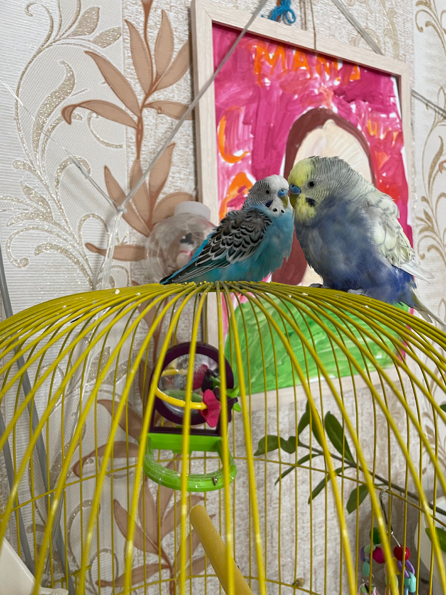 Фото автора 