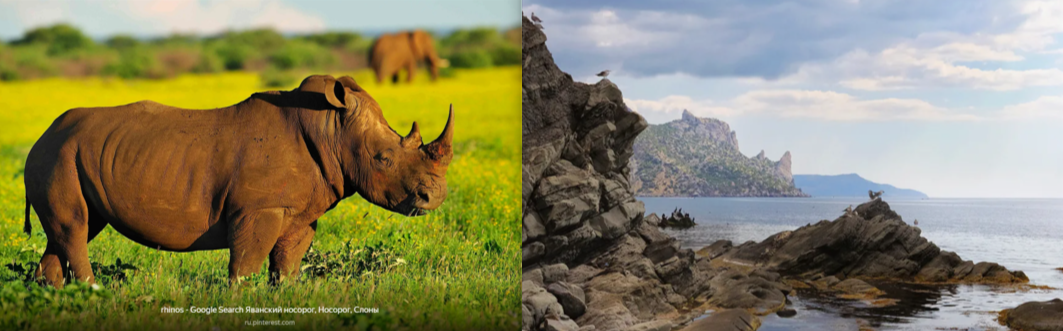 2. Гора Носорог. Вид с другой стороны И даже ушки есть. Фото из интернета. 