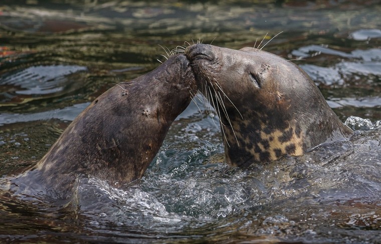    Сергей Булкин/NEWS.ru
