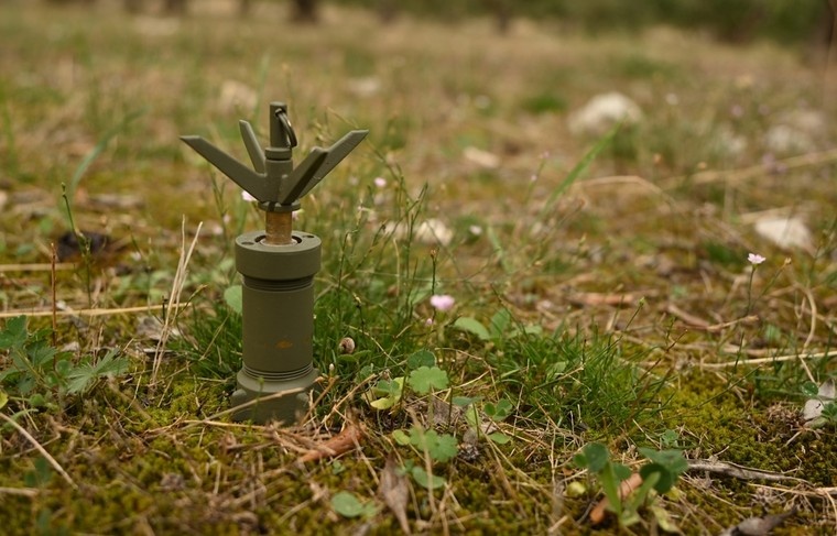    Shutterstock/FOTODOM