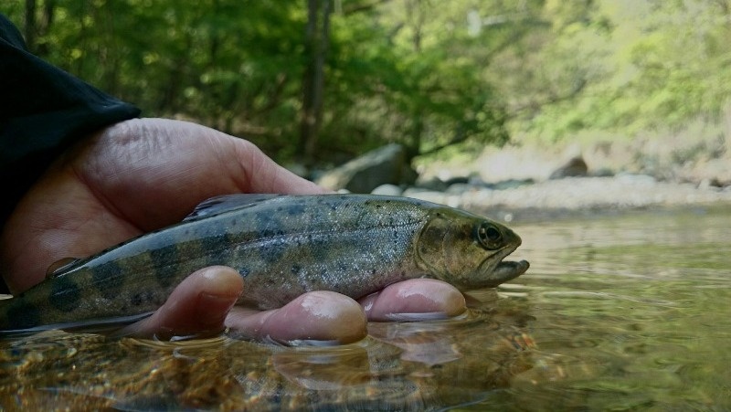 Фото: @EyeEm / freepik.com