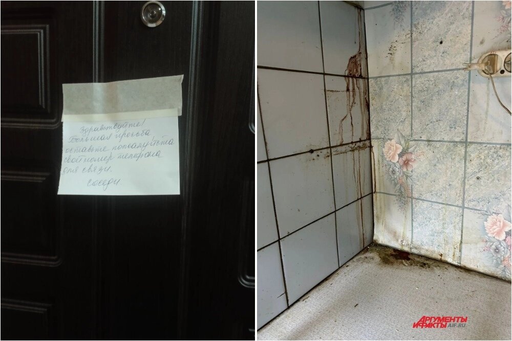    Житель запечатлел струю крови, стекающую по потолку. Фото: АиФ/ Лизавета Андреева