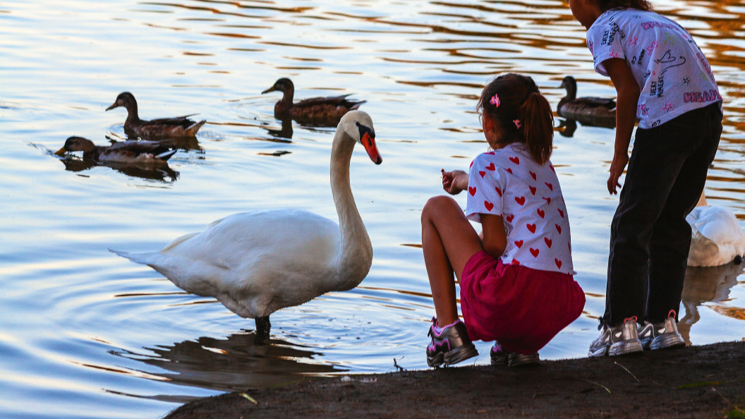    Фото: Roman Denisov/Global Look Press/Globallookpress