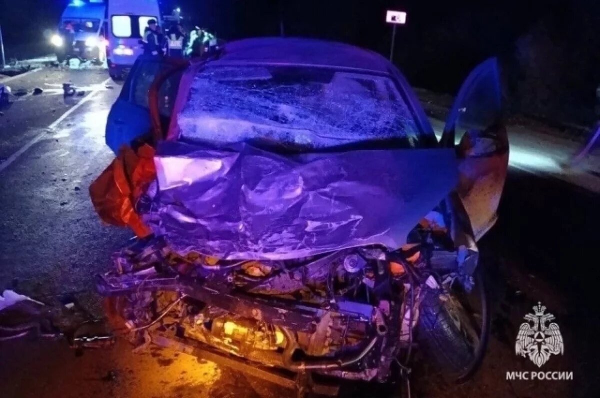    В массовом смертельном ДТП под Тулой пострадали 10 человек
